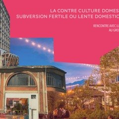 culturels subversion